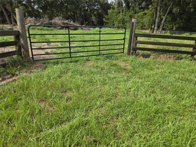 890 GRAND RONDO, Crescent City, FL, 32112 — photo 2
