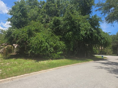 29 CREEKSIDE Drive, Palm Coast, FL, 32137 — photo 2