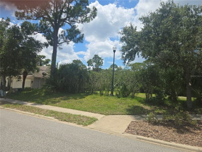 4 SANDPIPER Court, Palm Coast, FL, 32137 — photo 2