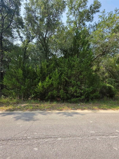 DUVAL Avenue, Interlachen, FL, 32148 — photo 2