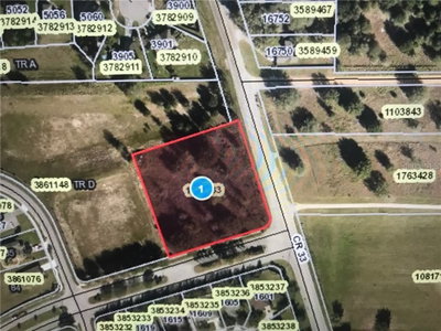 CORNER OF CR 33 AND CENTENNIAL PKWY, MASCOTTE, FL, 34753 — photo 2