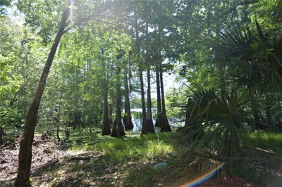 64TH Avenue, Bushnell, FL, 33513 — photo 2