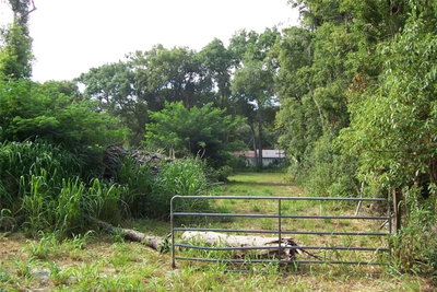 GRANT Avenue, Eustis, FL, 32726 — photo 2