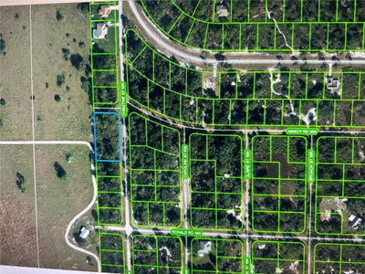 316 CHRISTINE Street, Lake Placid, FL, 33852 — photo 2