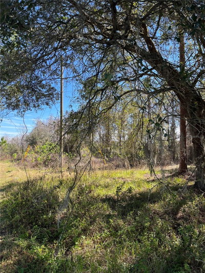 MOUNT PLEASANT Road, Groveland, FL, 34736 — photo 2