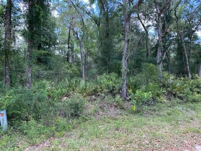 6471 OTTER Drive, Webster, FL, 33597 — photo 2
