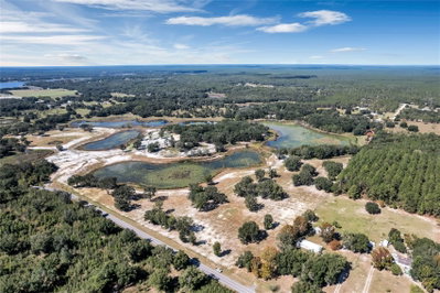 SE 180 STREET Road, Umatilla, FL, 32784 — photo 2