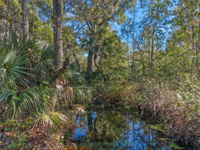 13524 CORKWOOD Lane, Astatula, FL, 34705 — photo 2