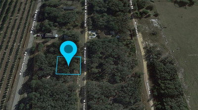 3180 ANSONIA Road, Avon Park, FL, 33825 — photo 2