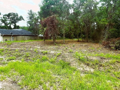 Lot 41 81ST Court, Summerfield, FL, 34491 — photo 2