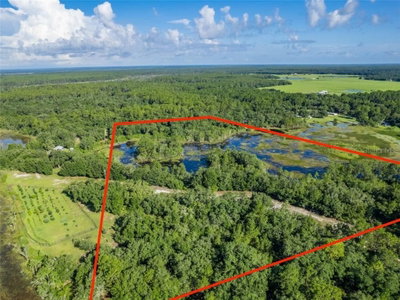 TBD 170th AVENUE Road, Ocklawaha, FL, 32179 — photo 2