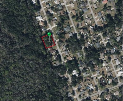 SILVER PALM Drive, Edgewater, FL, 32141 — photo 2