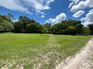 NE FOURTH STREET, Webster, FL, 33597 — photo 2