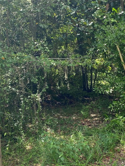 CR 448C, Lake Panasoffkee, FL, 33538 — photo 2