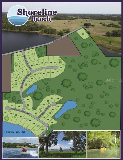 38521 WOODED MEADOW Drive, Umatilla, FL, 32784 — photo 2