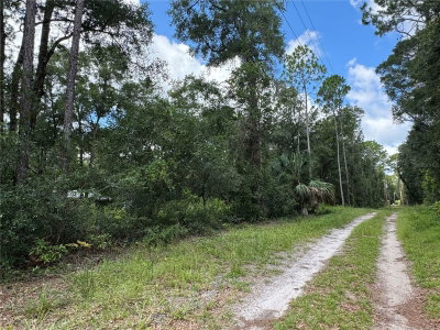 NW 58TH Place, Chiefland, FL, 32626 — photo 2