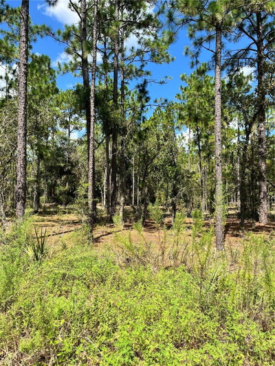 TBD 156TH Court, Ocala, FL, 34481 — photo 2