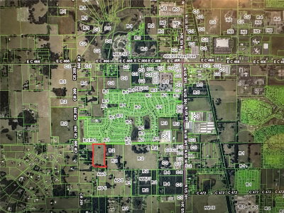 SUMTER COUNTY ROAD 214, Oxford, FL, 34484 — photo 2
