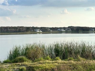 16700 BOLSENA Drive, Montverde, FL, 34756 — photo 2