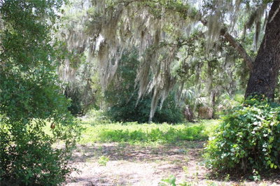 3117 BRIGHT LAKE Circle, Groveland, FL, 34736 — photo 2