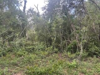 KARAGAN Court, Webster, FL, 33597 — photo 2