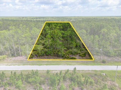 LOT 61 MEADOW LARK Boulevard, Lake Wales, FL, 33898 — photo 2