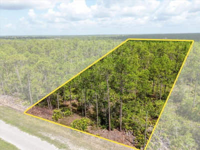 LOT 62 MEADOW LARK Boulevard, Lake Wales, FL, 33898 — photo 2