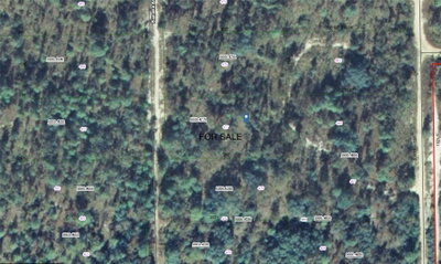 118 BANANA Avenue, Pomona Park, FL, 32181 — photo 2