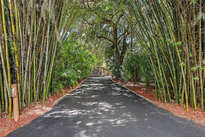 507 LAKESHORE Drive, Eustis, FL, 32726 — photo 2