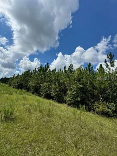 COLES Court, Fort White, FL, 32038 — photo 2