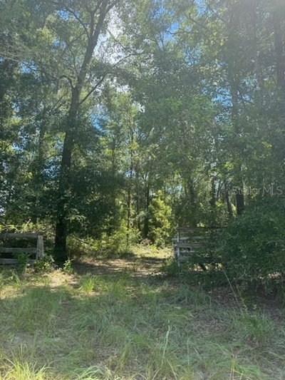 COLES Court, Fort White, FL, 32038 — photo 2