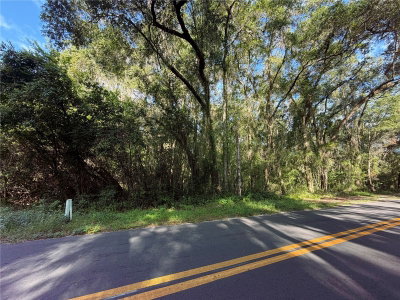 TBD S ST CLAIR ST, Wildwood, FL, 34785 — photo 2