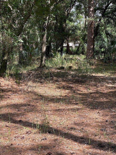 THUNDERHEAD STREET, Wesley Chapel, FL, 33544 — photo 2