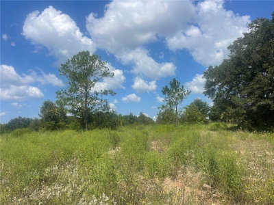 TBD KEENE Road, Umatilla, FL, 32784 — photo 2