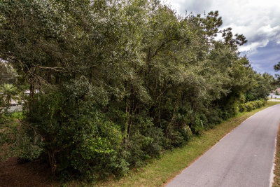 INTERLACHEN Drive, Mount Plymouth, FL, 32776 — photo 2