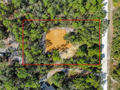 33216 TEAKWOOD Drive, Webster, FL, 33597 — photo 2