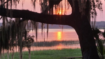 25205 142 ND Street, Salt Springs, FL, 32134 — photo 2