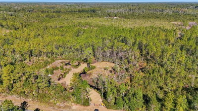 212TH STREET Road, Fort Mc Coy, FL, 32134 — photo 2