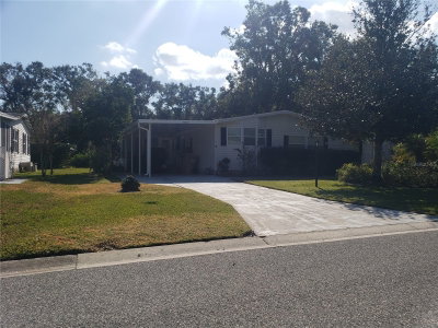 5009 EL DESTINO Drive, Leesburg, FL, 34748 — photo 2