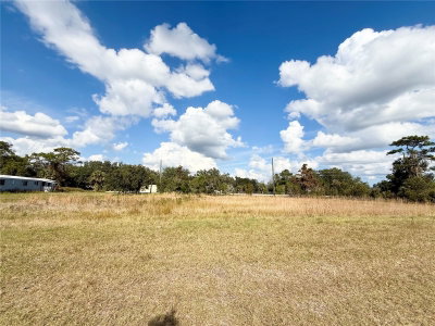 LOT 9 FORT CHRISTMAS Road, Christmas, FL, 32709 — photo 2