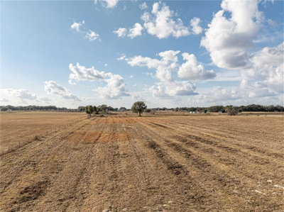 COUNTY ROAD 101, Oxford, FL, 34484 — photo 2