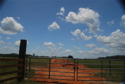 LAKE ERIE, Groveland, FL, 34736 — photo 2