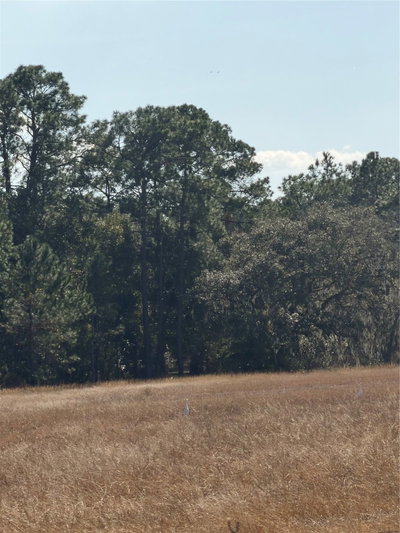 LAKE ERIE, Groveland, FL, 34736 — photo 2