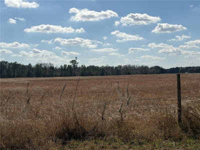 LAKE ERIE Road, Groveland, FL, 34736 — photo 2