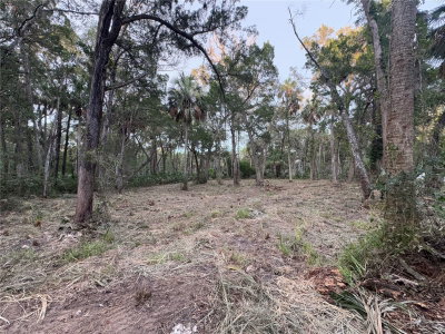 11905 ELDRED Lane, Homosassa, FL, 34448 — photo 2