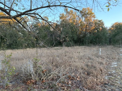 13434 MARYLAND Avenue, Astatula, FL, 34705 — photo 2