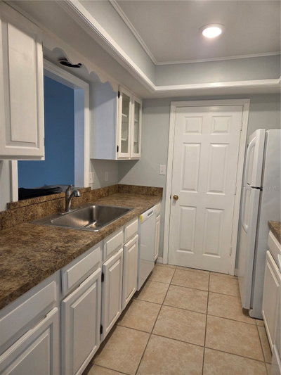743 ALFRED Street, Tavares, FL, 32778 — photo 2