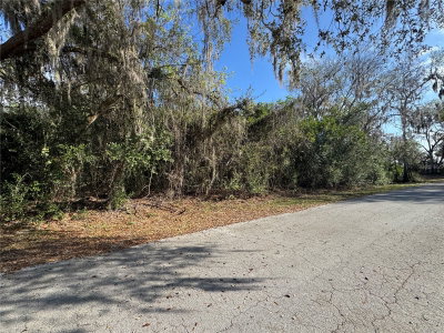 CR 482C, Lake Panasoffkee, FL, 33538 — photo 2