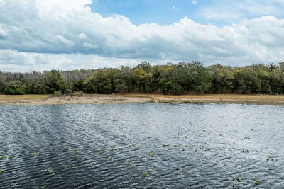 FOREST  02, #2, SE 150TH Street, Umatilla, FL, 32784 — photo 2