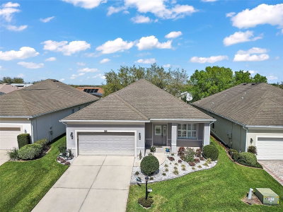 3544 MOUNT HOPE Loop, Leesburg, FL, 34748 — photo 2